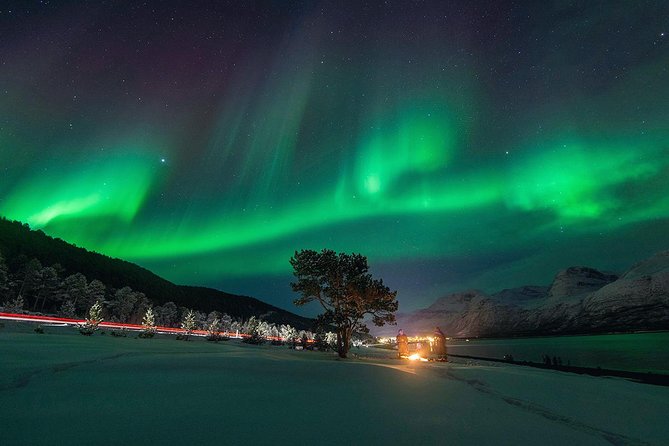 Northern Lights Minibus Chase from Tromsø with Chasing Lights - A Tromsø Aurora Chase That’s Built for Moving Weather