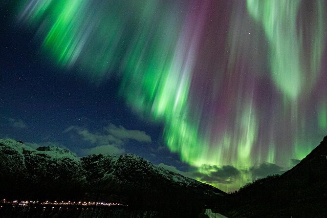 Northern Lights Minibus with Photos Dinner Warm suits - Campfire dinner while you wait: how the evening rhythm works