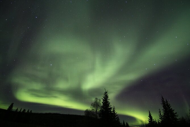 Northern Lights Murphy Dome Viewing in Fairbanks - Who This Northern Lights Murphy Dome Tour Fits Best