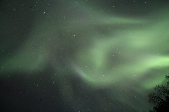 Northern Lights Murphy Dome Viewing in Fairbanks - Pickup, Timing, and What a 10:00 pm Start Changes