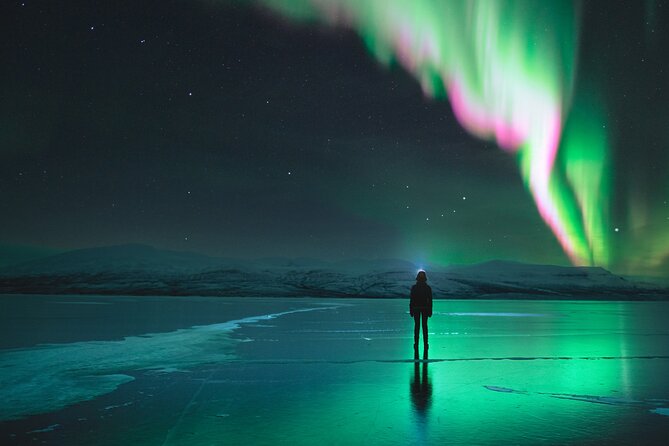 Northern Lights Photo Expedition Dinner Included from Abisko - Key Highlights You’ll Care About