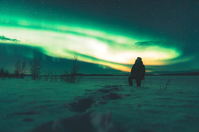 Northern Lights Photo Expedition Dinner Included from Abisko - Photos Included: Better Than Hoping Your Best Shot Works