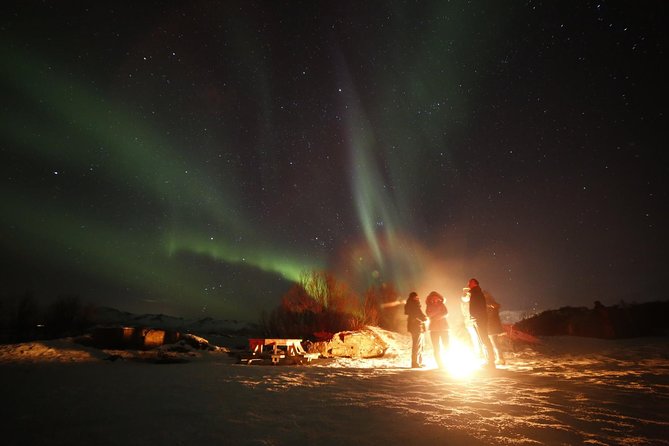 Northern Lights Photography Tour - Small group reality: minibus + convoy dynamics
