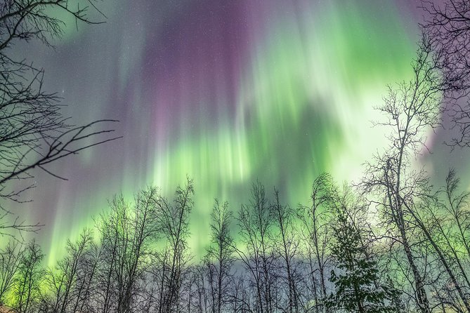 Northern Lights Private tour with your special ones - Greenlander - Price and value: what $2,558.88 buys you (and what it doesn’t)