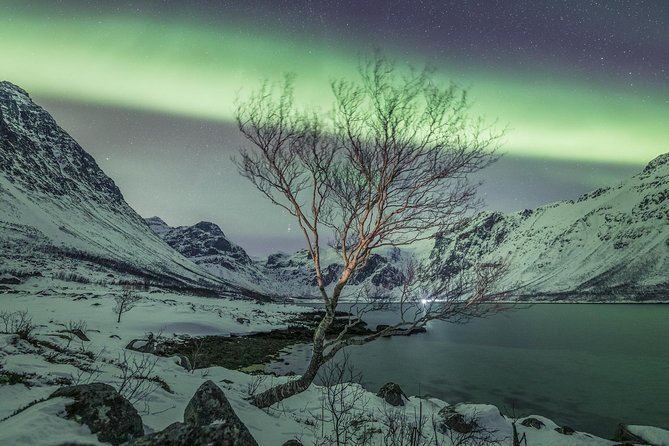 Northern Lights Private tour with your special ones - Greenlander - What private aurora chasing really means (it’s not just a bigger car)