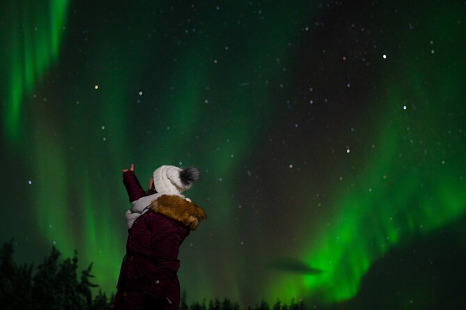 Northern Lights Reindeer Sledge Ride - Three Hours in Rovaniemi: The pace, pickup, and what you get