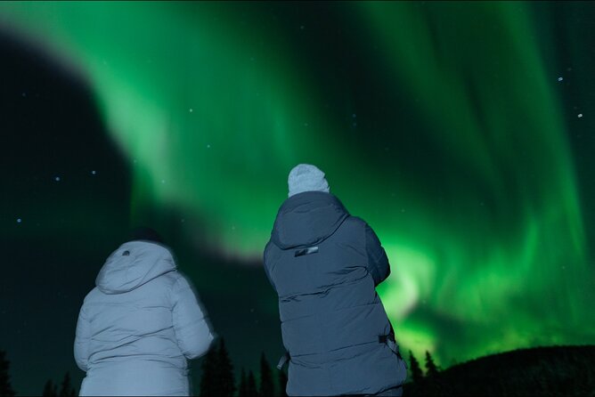 Northern Lights Rovaniemi: Guaranteed Tour with Local Guide - Key things to know before you go