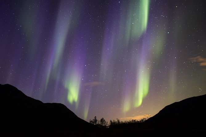 Northern Lights Safari from Tromso - Photos and souvenirs: what you actually take home