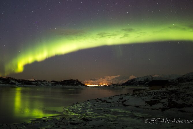 Northern Lights Safari from Tromso - Price and value: is $152.21 worth it?