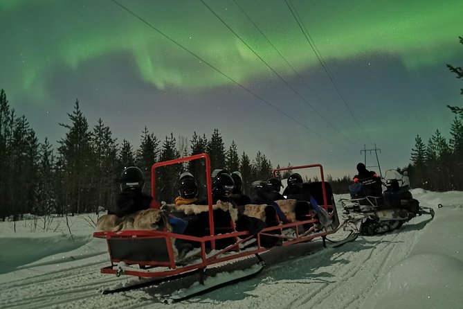 Northern Lights Sledge Ride - Key points to know before you go