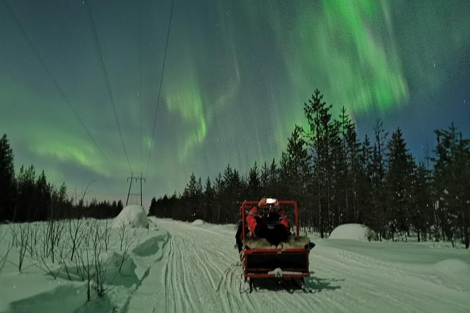 Northern Lights Sledge Ride - The Snowmobile-Sled Experience: Bumpy, Fast, and Fun
