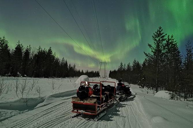 Northern Lights Sledge Ride - Campfire Breaks, Hot Juice, and the Pause That Saves the Night