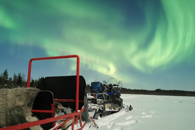 Northern Lights Sledge Ride - Guides Who Turn a Cold Ride Into a Story