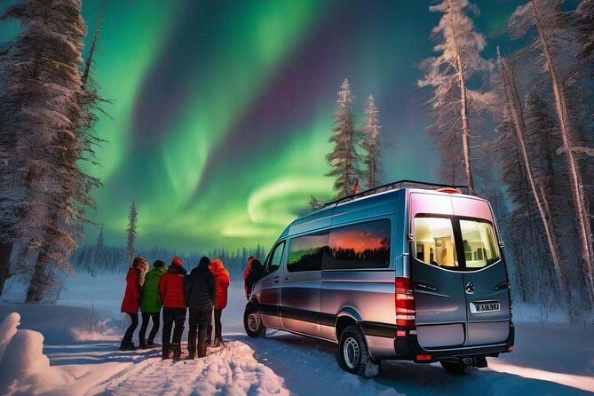 Northern Lights Small Group Tour from Reykjavik - Who This Northern Lights Tour Fits Best