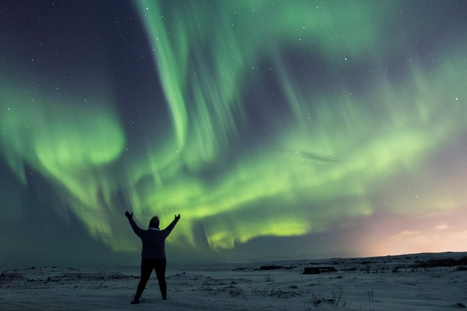 Northern Lights Small Group Tour from Reykjavik with Free Photos - When you should choose this tour (and when you should pause)