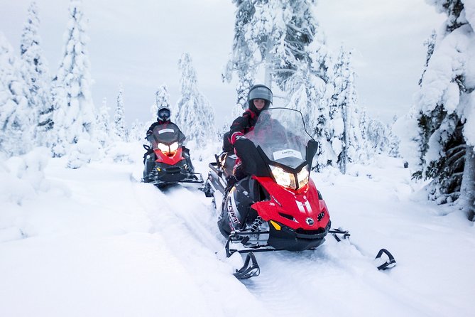Northern Lights Snowmobile Driving Safari - Who This Safari Fits Best (and Who Might Want a Different Option)