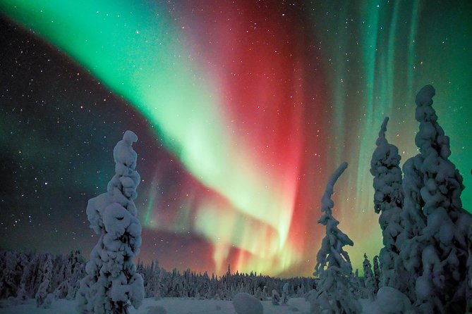 Northern Lights Snowmobile Driving Safari - Price and Value: Is $210.13 Worth It?