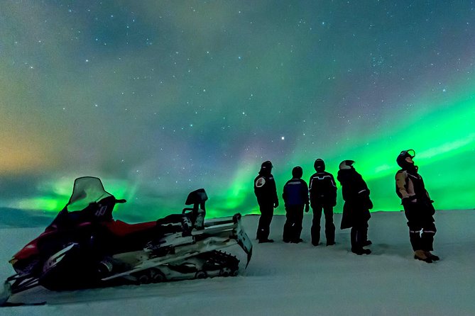 Northern Lights Snowmobile Safari from Rovaniemi with Campfire Picnic - What Makes This Safari Worth Your Time (and What to Expect)