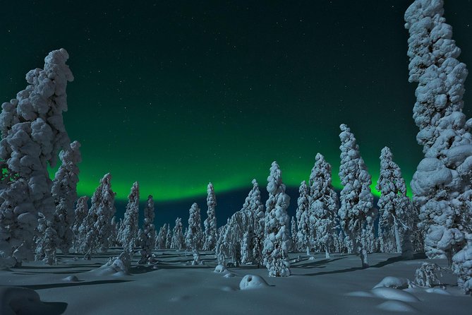 Northern Lights Snowmobile Safari from Rovaniemi with Campfire Picnic - Key Highlights You’ll Feel Right Away