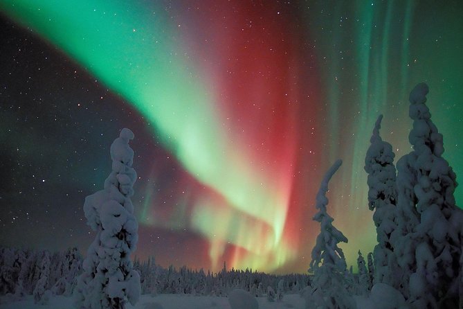 Northern Lights Snowmobile Safari from Rovaniemi with Campfire Picnic - Aurora Spotting: How the Night Is Actually Timed