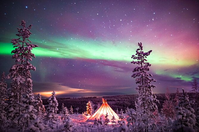 Northern Lights Snowmobile Sledge Ride in Rovaniemi - Northern Lights: what the tour can do, and what it can’t