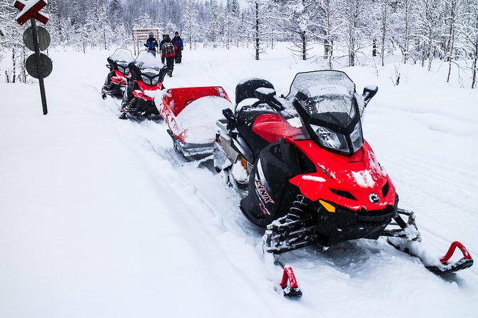 Northern Lights Snowmobile Sleigh Ride - Why this sleigh ride works better than just “going to see lights”