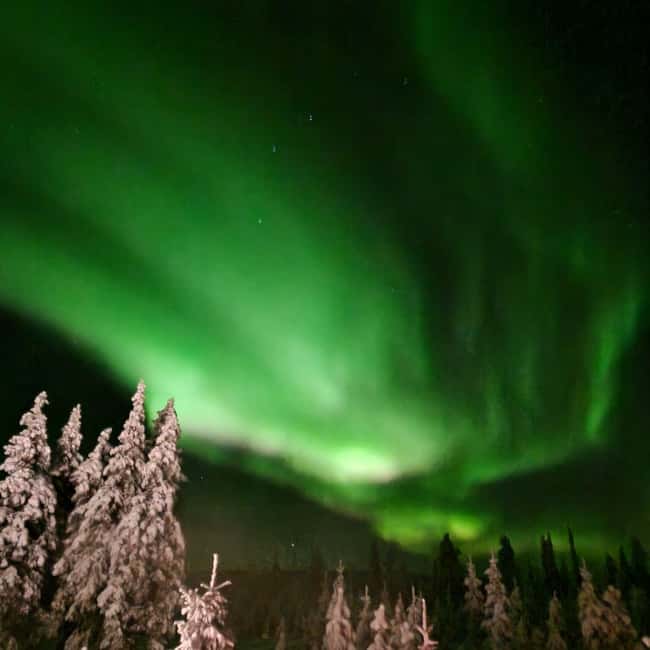 Northern Lights Snowshoe Hike in Levi with Latvian Guide - Why this Levi snowshoe night feels worth the money