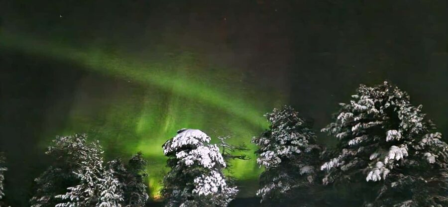 Northern Lights Snowshoe Hike in Levi with Latvian Guide - The snowshoe walk: what you actually do for three hours