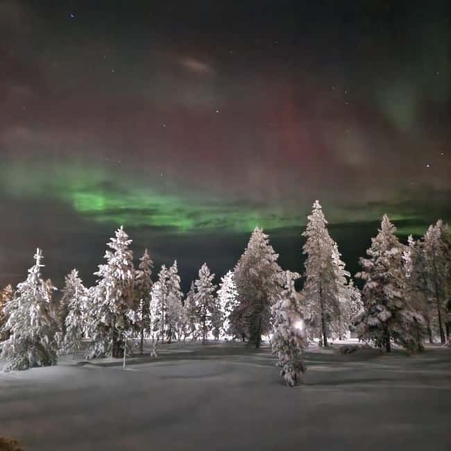 Northern Lights Snowshoe Hike in Levi with Latvian Guide - What the guide adds: photos, conversation, and local warmth