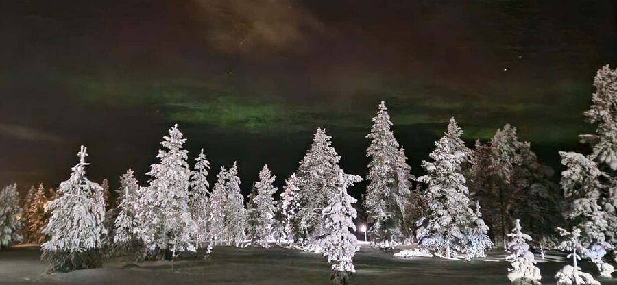 Northern Lights Snowshoe Hike in Levi with Latvian Guide - Price and value: what $116 gets you (and what it doesn’t)