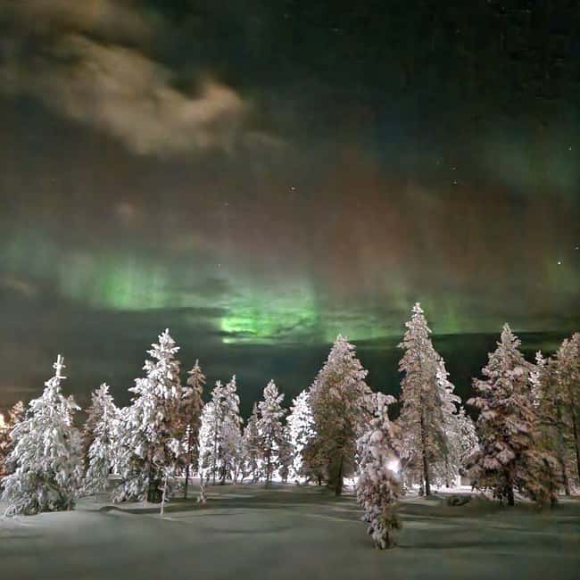 Northern Lights Snowshoe Hike in Levi with Latvian Guide - What to bring for a comfortable 3-hour night outside