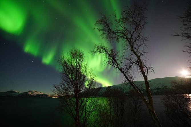 Northern lights - TeslaX Ecofriendly Car - Comfort details that actually help in the cold