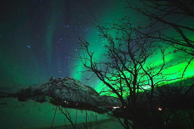 Northern lights - TeslaX Ecofriendly Car - Price and value: what you’re paying for