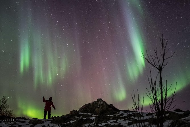 Northern Lights tour - All inclusive - Northern Horizon - How the guide stacks the odds (and keeps you moving)