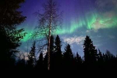 Northern Lights Tour At The Campfire - The Private Aurora Spot: Your Chance to Actually See Something