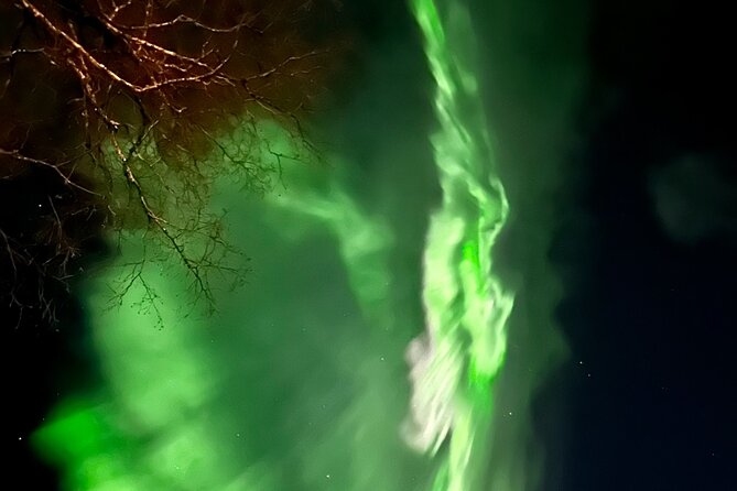 Northern Lights Tour At The Campfire - Price and Value: What $131.35 Buys You in Finland