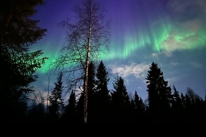 Northern Lights Tour At The Campfire - The Private Aurora Spot: Your Chance to Actually See Something