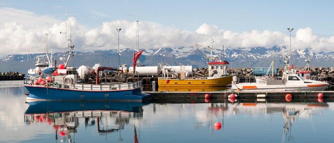 Northern Lights Tour from Husavik - Key things that make this tour worth considering