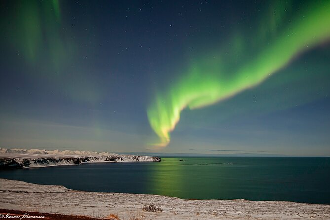Northern Lights Tour from Husavik - Price and value: what $173.64 is really paying for
