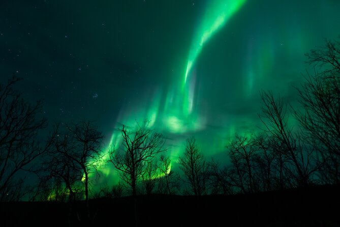 Northern Lights Tour from Kiruna to Abisko with Dinner - Quick Hits: What Makes This Aurora Night Work