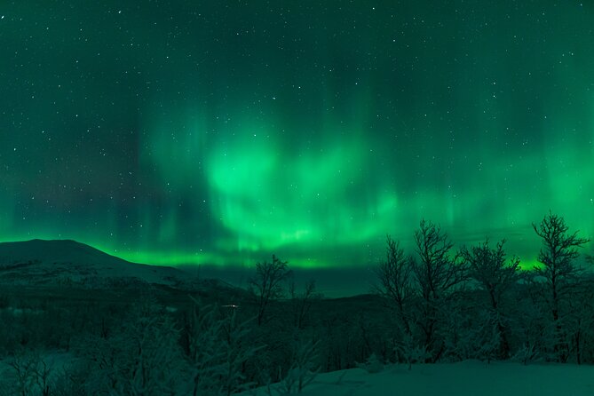 Northern Lights Tour from Kiruna to Abisko with Dinner - Kiruna to Abisko: Why This Aurora Plan Makes Sense