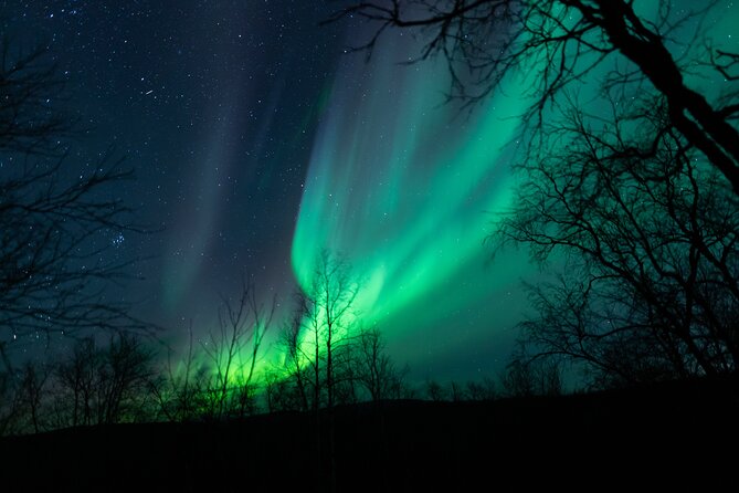 Northern Lights Tour from Kiruna to Abisko with Dinner - The Sky Lesson: Stories, Science, and Practical Expectations