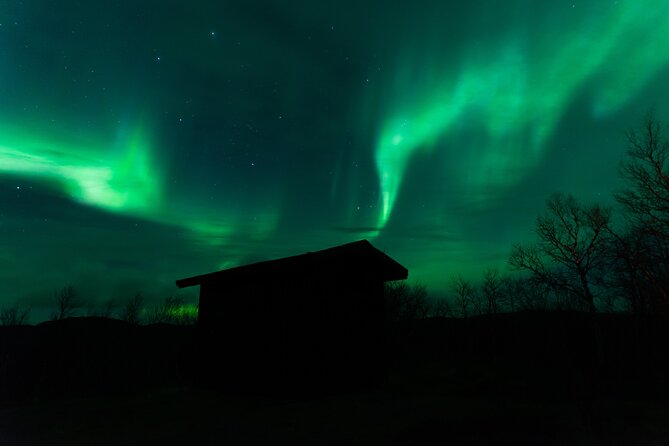 Northern Lights Tour from Kiruna to Abisko with Dinner - Abisko National Park Viewing: Campfire Stops and Aurora Chasing