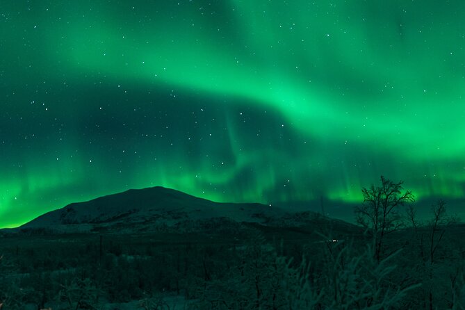 Northern Lights Tour from Kiruna to Abisko with Dinner - Heated Transport, Winter Overalls, and Comfort That Actually Matters