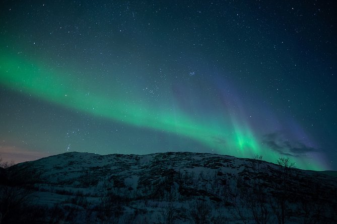 Northern Lights Tour from Kiruna to Abisko with Dinner - Price and Value: Is $278.79 Worth It?