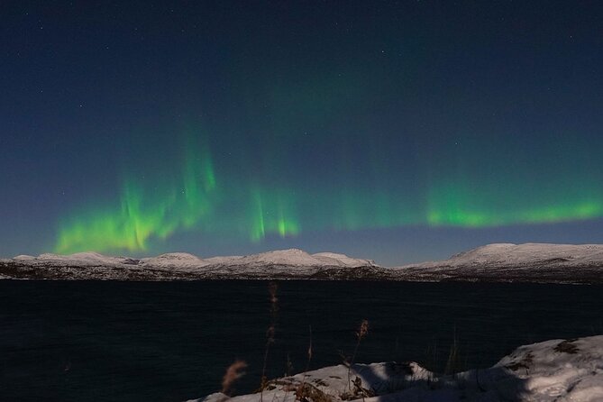 Northern Lights Tour from Kiruna to Abisko with Dinner - Who This Tour Fits Best (and Who Might Want a Different Style)
