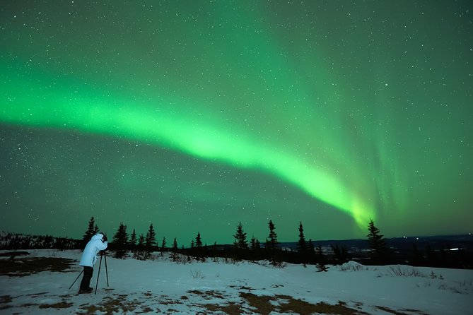Northern Lights Tour from Reykjavik with Lifetime Guarantee - Key things to know before you book