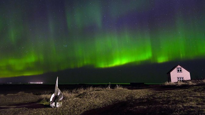 Northern Lights Tour from Reykjavik with Lifetime Guarantee - Entering the Arctic night: how the 3-hour bus plan feels in real life