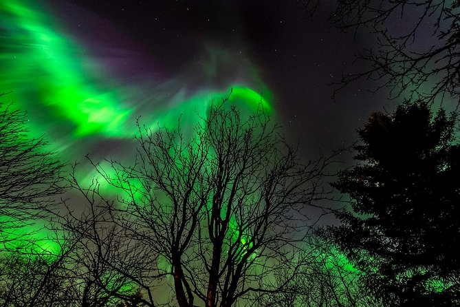 Northern Lights Tour from Reykjavik with Lifetime Guarantee - Choosing the spot: why the destination can change with the forecast