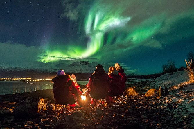 Northern Lights Tour from Tromsø - Price and What $259 Buys You in the Arctic Night